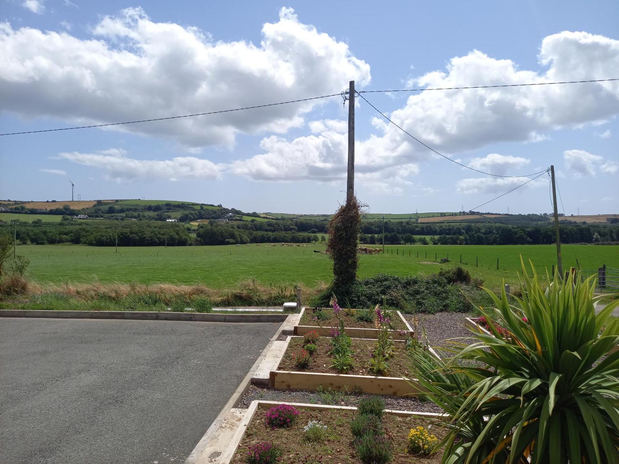 Teach Na Coille B&B Midleton Exterior foto