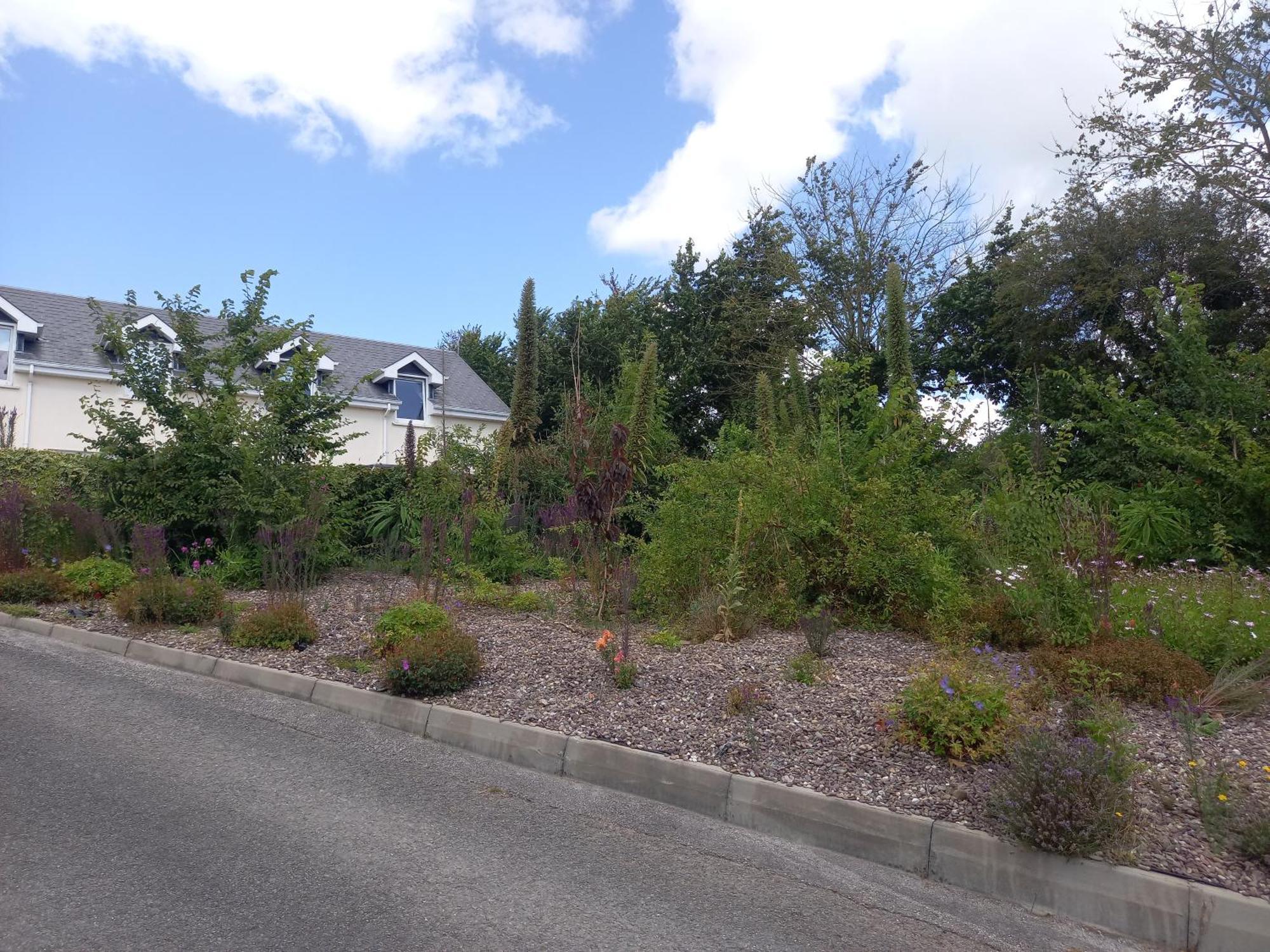 Teach Na Coille B&B Midleton Exterior foto