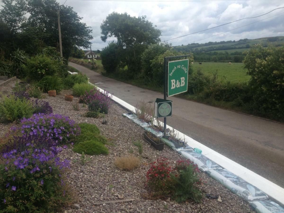 Teach Na Coille B&B Midleton Exterior foto